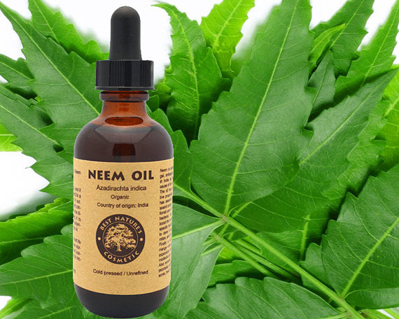 100% Pure Neem Oil 4oz (organic, undiluted,