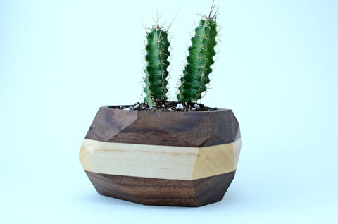 Wooden Large Succulent Planter